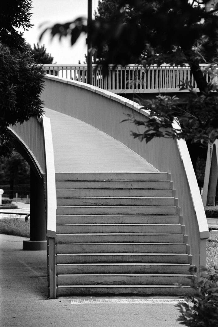 #00530 - 2024/07 - Kodak Tri-X 400 - Kudanshita