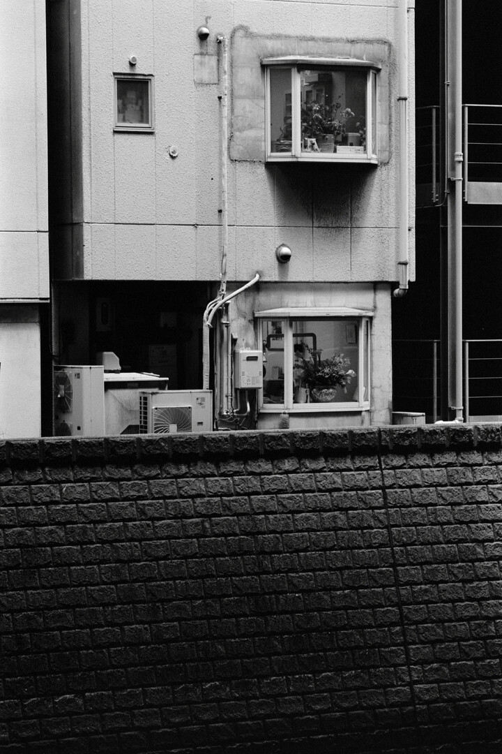 #00534 - 2024/07 - Kodak Tri-X 400 - Chiyoda