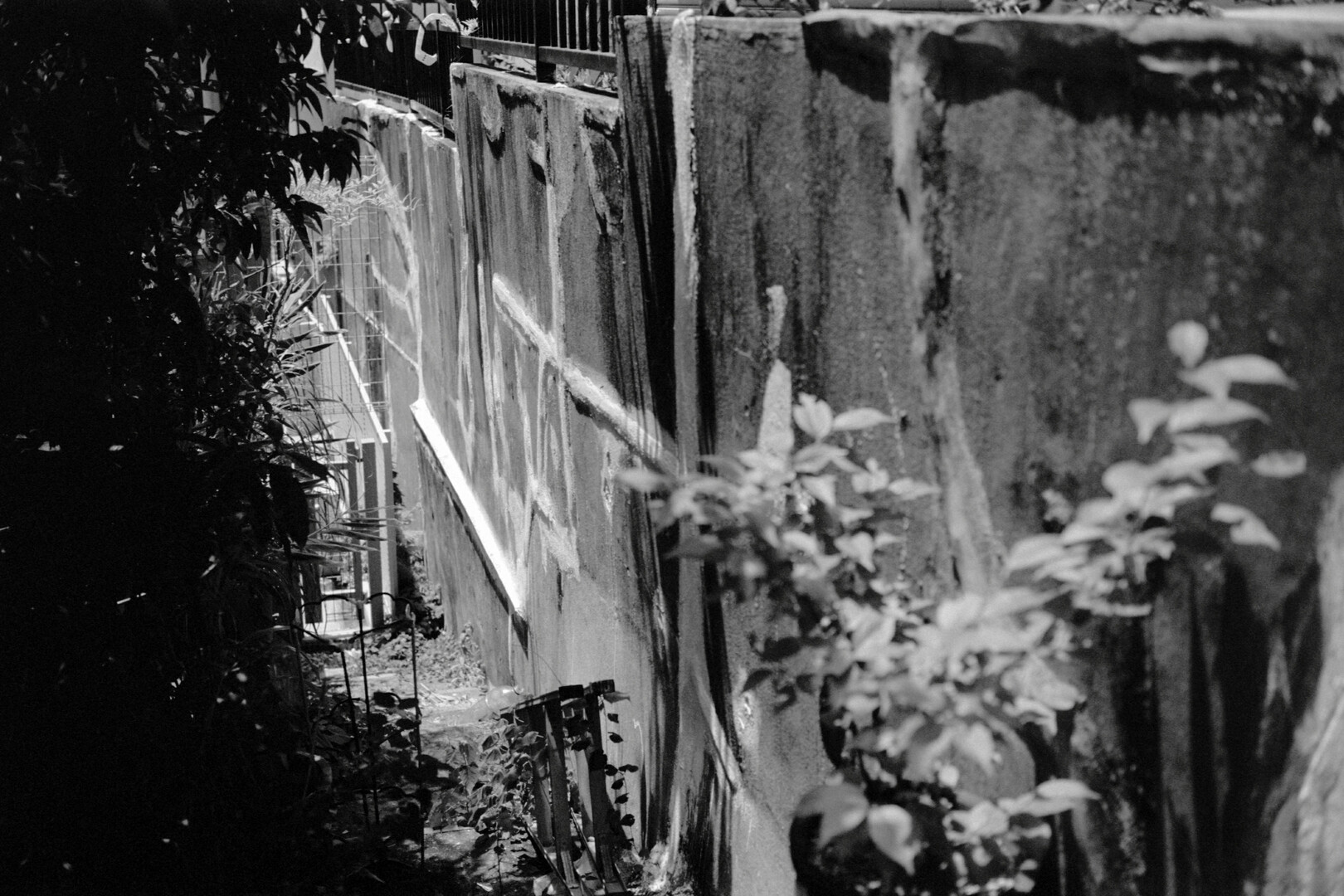 #00539 - 2024/07 - Kodak Tri-X 400 - Shimokitazawa