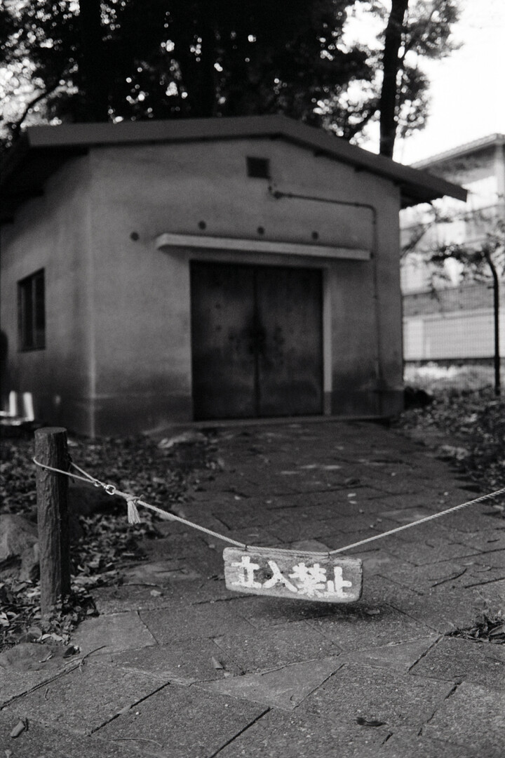 #00541 - 2024/07 - Kodak Tri-X 400 - Komaba