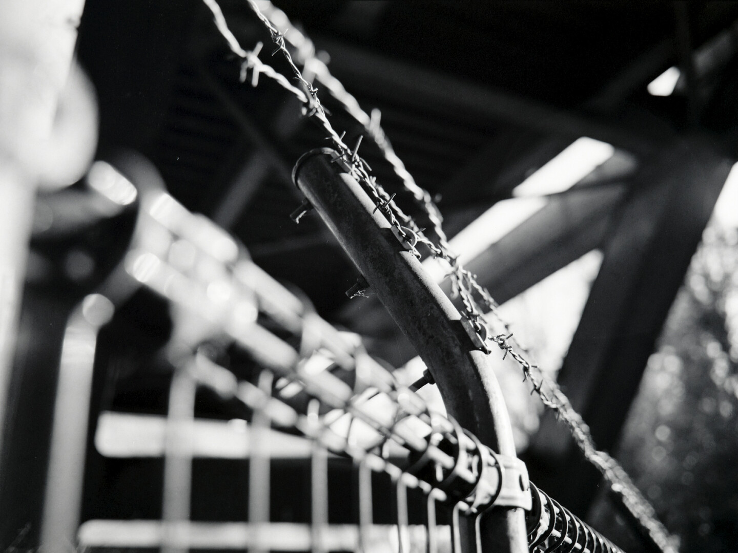 #00548 - 2025/02 - Rollei Superpan 200 - Lake Tama