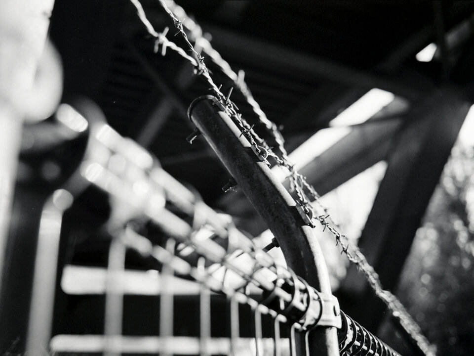 #00548 - 2025/02 - Rollei Superpan 200 - Lake Tama