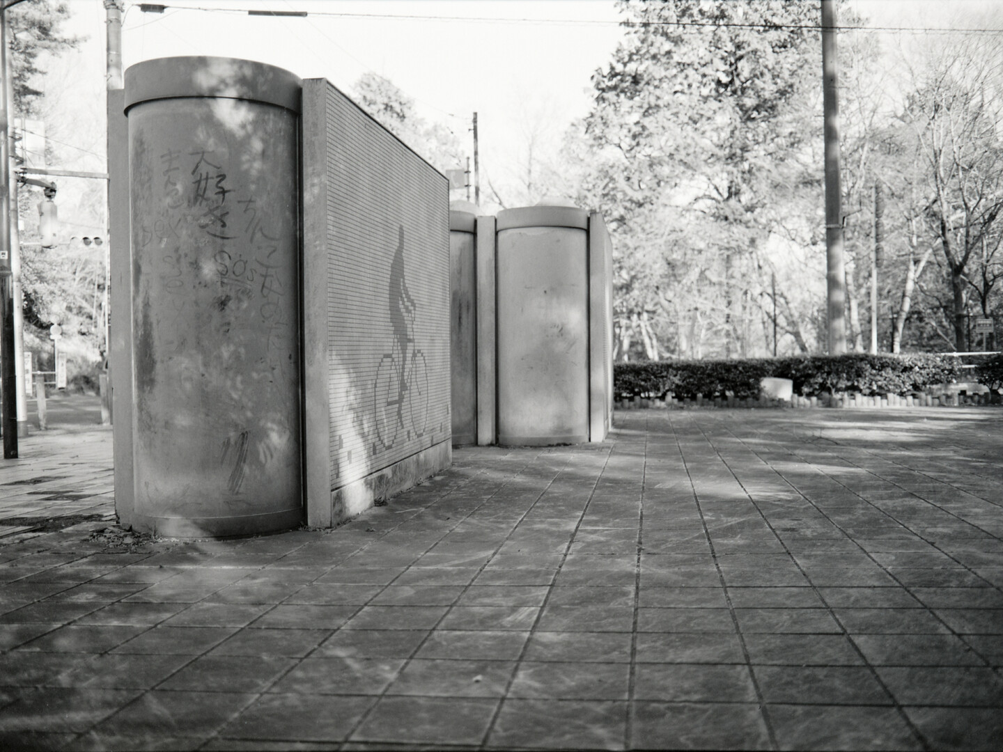 #00549 - 2025/02 - Rollei Superpan 200 - Lake Tama