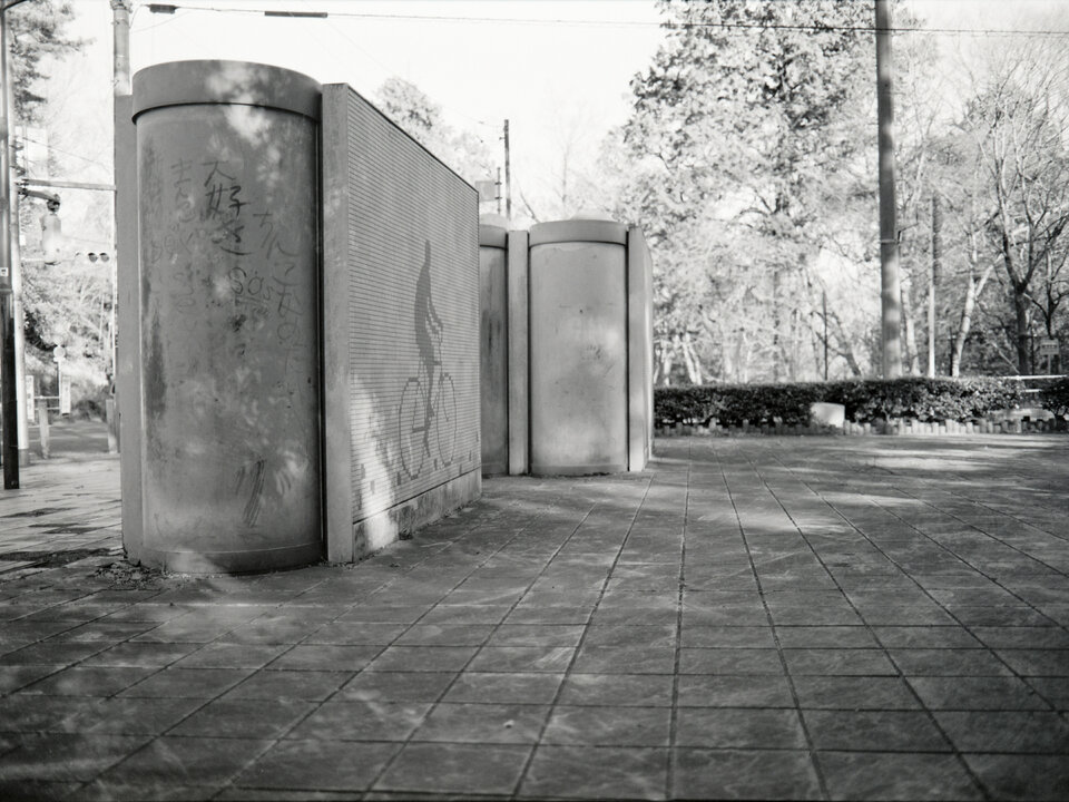 #00549 - 2025/02 - Rollei Superpan 200 - Lake Tama