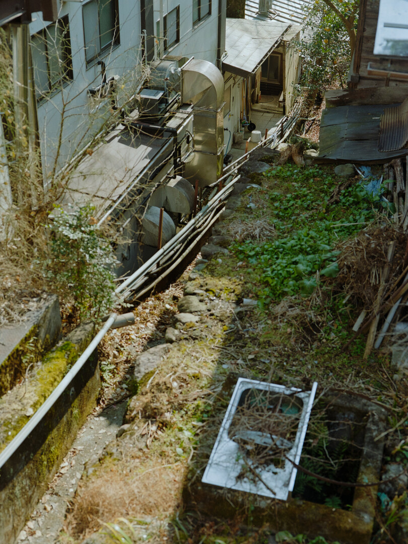 #00558 - 2025/01 - Kodak Gold 200 - Mitake Ome