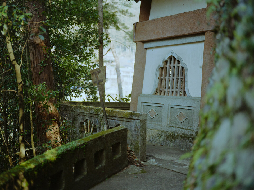 #00560 - 2025/01 - Kodak Gold 200 - Mitake Ome