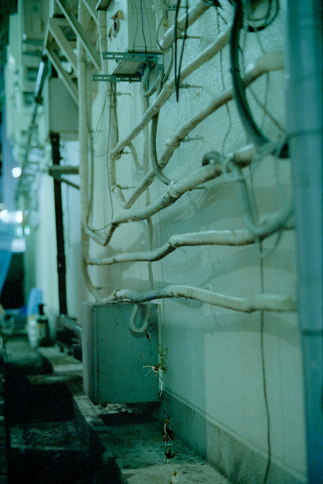 #00579 - 2024/10 - Cyberpunk 640t - Tachikawa