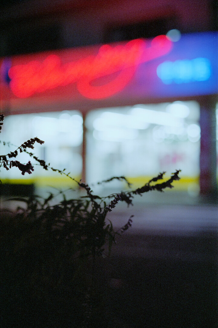 #00586 - 2024/11 - Fujifilm Pro400H - Nakagami