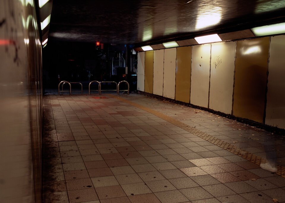 #00591 - 2024/12 - Fujifilm Velvia 100 - Ikebukuro