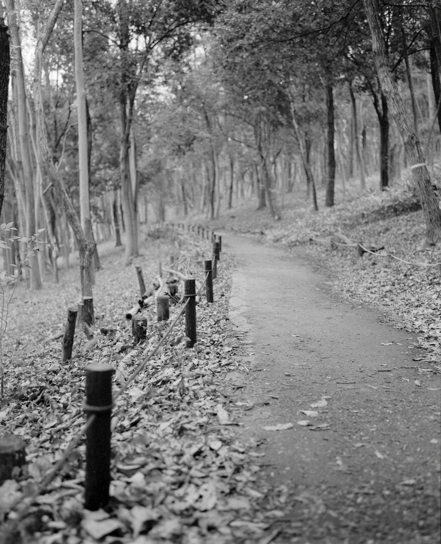#00600 - 2025/03 - Fuji Neopan 400 - Tachikawa - Showa Kinen Koen