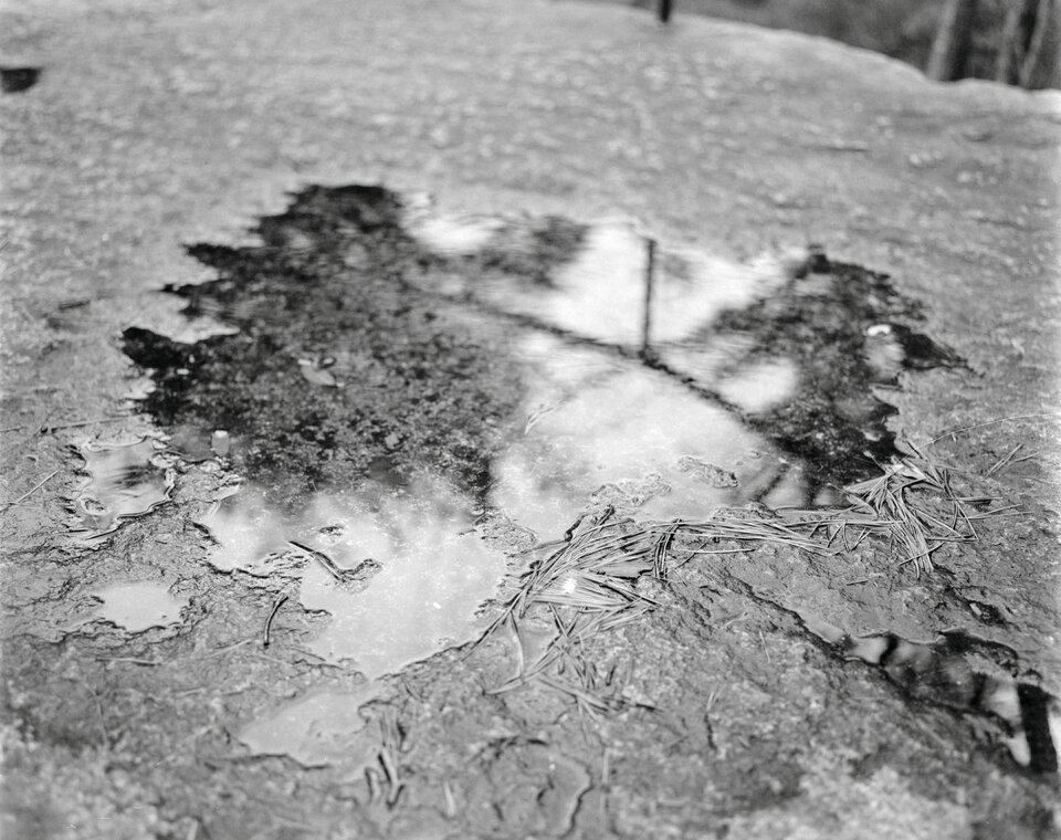 #00601 - 2025/03 - Fuji Neopan 400 - Tachikawa - Showa Kinen Koen