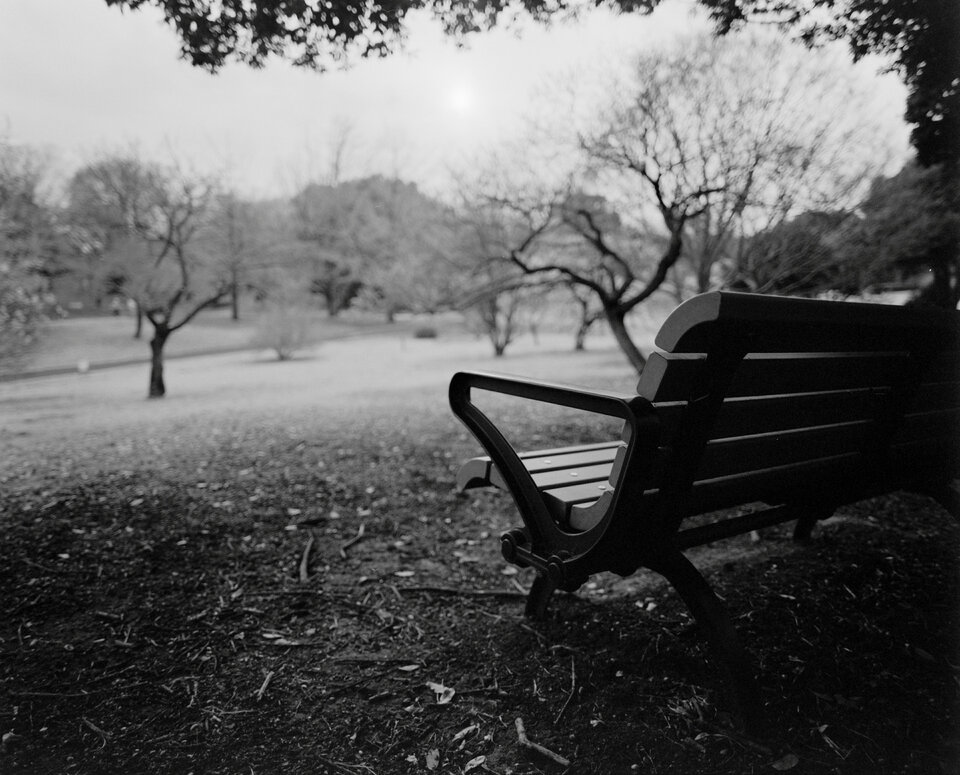#00602 - 2025/03 - Fuji Neopan 400 - Tachikawa - Showa Kinen Koen