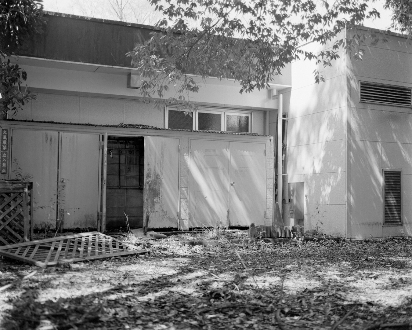 #00603 - 2025/03 - Fuji Neopan 400 - Tachikawa - Showa Kinen Koen