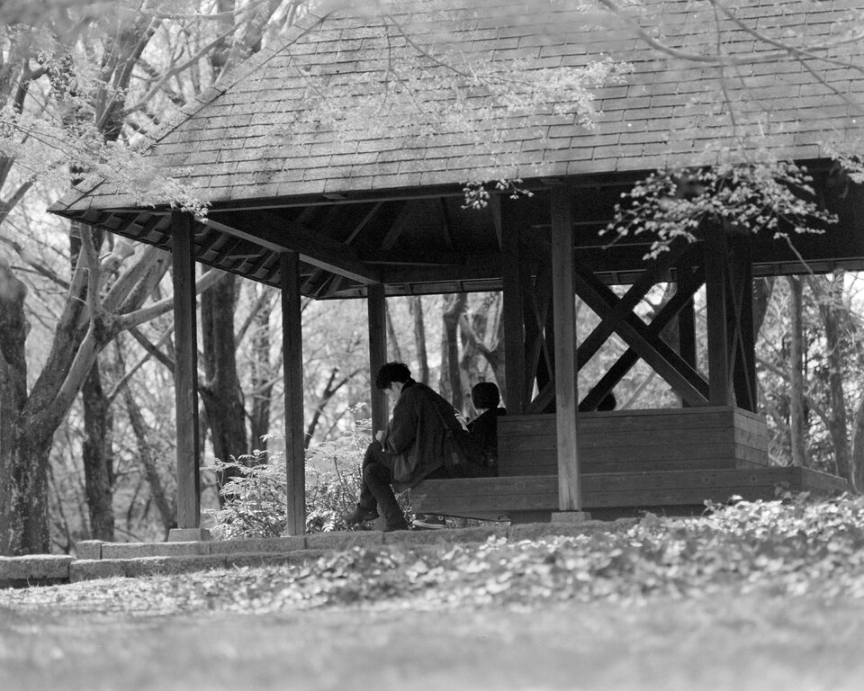 #00604 - 2025/03 - Fuji Neopan 400 - Tachikawa - Showa Kinen Koen