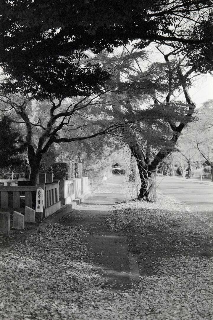 #00607 - 2025/01 - Fuji Neopan 400 - Tama Reien