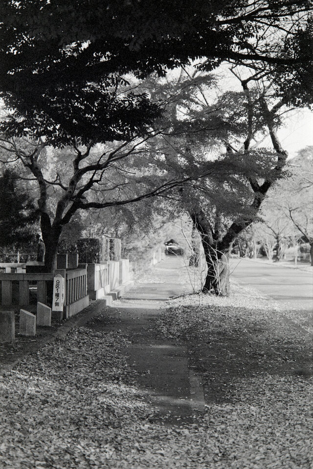 #00607 - 2025/01 - Fuji Neopan 400 - Tama Reien