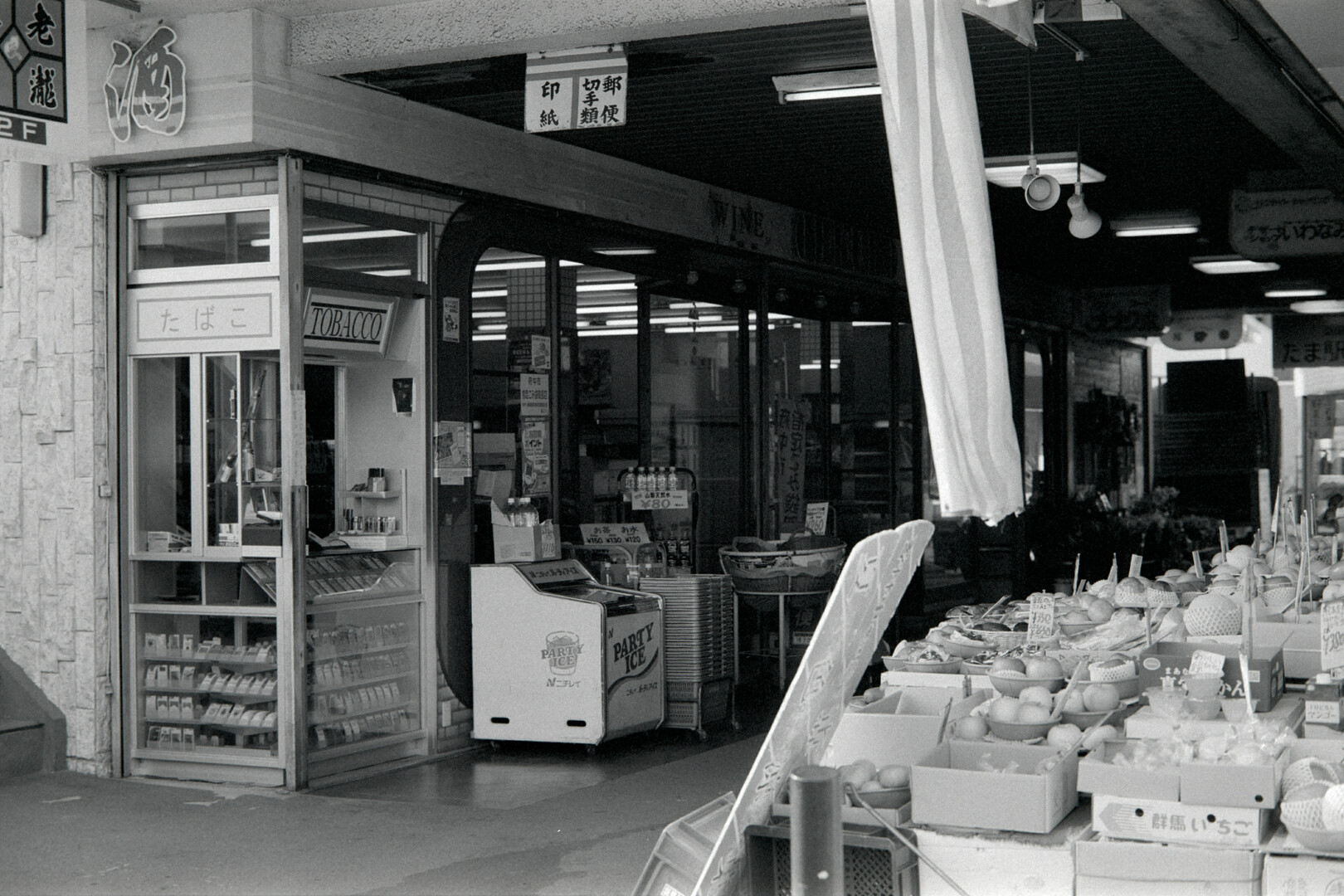 #00609 - 2025/01 - Fuji Neopan 400 - Tama