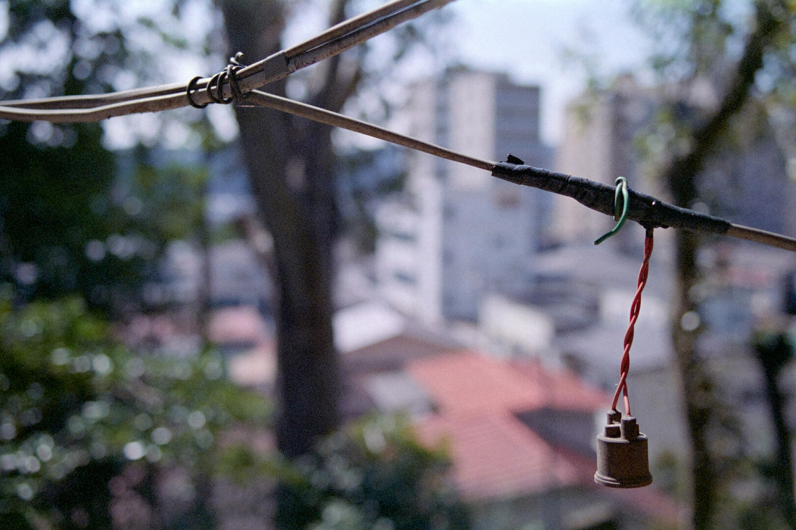 #00642 - 2025/03 - Fujifilm Super ACE 800 - Ome