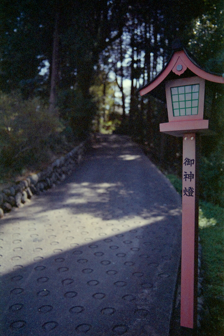 #00645 - 2025/03 - Fujifilm Super ACE 800 - Ome