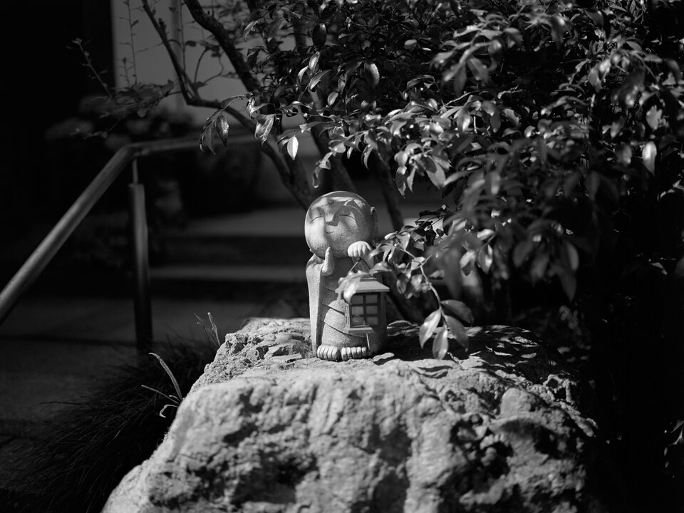 #00750 - 2025/06 - Kodak Ektar 100 - Kamakura