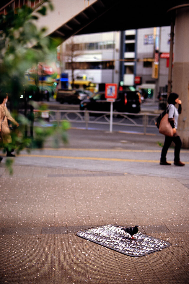 #00780 - 2025/03 - Fuji Fortia SP - Akihabara