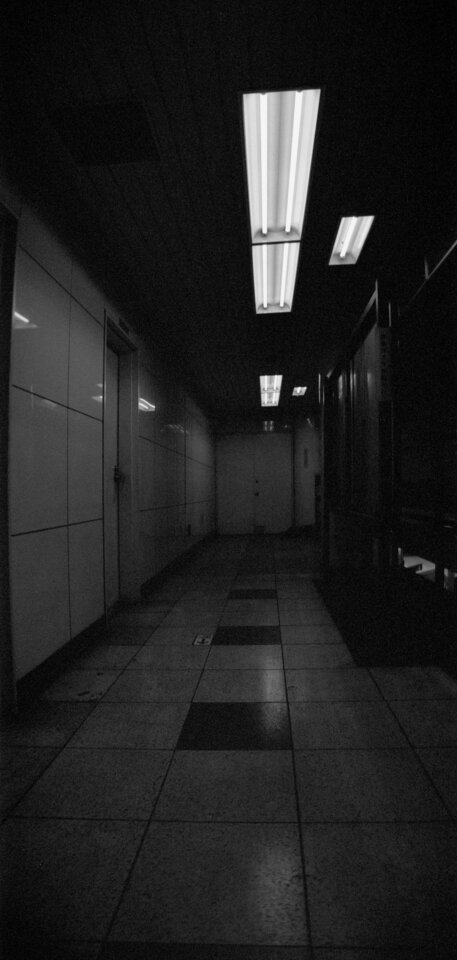 #00830 - 2025/12 - Rollei Infrared Anamorphic - Nihonbashi